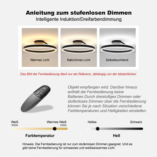 Arisha Deckenleuchte Ring Modern LED Schwarz/Weiß Wohnzimmer Flur Metall-Purlicht