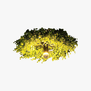 Ritta Nest Pflanzen LED Deckenleuchte Grün Schlafzimmer/Wohnzimmer-Purlicht